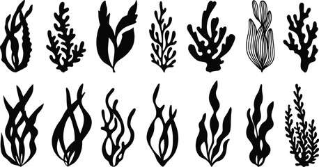 Seaweed Silhouette Vector CAD, Flat Underwater Plant Sketch, Ocean Botanical Illustration, Marine Algae Drawing, Aquatic Nature Design