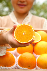 Fresh Juicy Orange Half in Hand - Sweet Citrus Fruit Bursting with Flavor