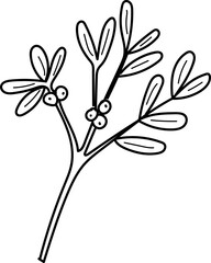 Botanical Branch with Berries Sketch