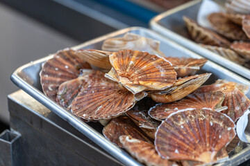 Fresh scallops are displayed on a metal tray on a scale at a street seafood market in Paris, France. The ribbed shells are in various shades of orange and brown.