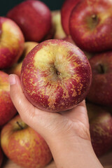 Fresh Red Fuji Apple with Natural Blemishes Held in Hand - Organic Fruit Harvest