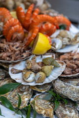 A large seafood platter with a variety of fresh seafood, including oysters, whelks, shrimp, prawns, and scallops, is a presentation of the market's assortment and a tasting set in Paris, France.