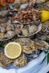 A large seafood platter with a variety of fresh seafood, including oysters, whelks, shrimp, prawns, and scallops, is a presentation of the market's assortment and a tasting set in Paris, France.