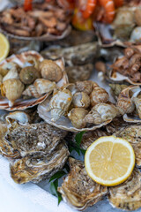 A large seafood platter with a variety of fresh seafood, including oysters, whelks, shrimp, prawns, and scallops, is a presentation of the market's assortment and a tasting set in Paris, France.