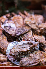 Fresh oysters are for sale in a wooden crate at a street seafood market in Paris, France. One oyster is open, revealing the meat inside.