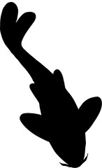 silhouette of a fish vector 