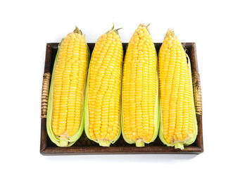 Fresh Sweet Corn Cobs in Wooden Basket - Farm Fresh Yellow Corn Ears Ready for Cooking