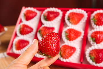 Fresh Daliangshan Strawberries Gift Set - Premium Red Fruit in Elegant White Package