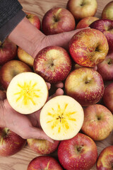 Fresh Red Apples with Star-Shaped Cores in Hands - Whole and Cut Fruit Display