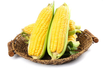 Fresh Golden Corn Ears in Wicker Basket - Yellow Sweet Corn Harvest