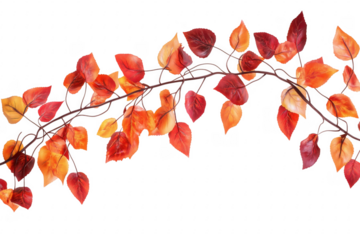Autumnal branch display featuring colorful fall leaves against a transparent background