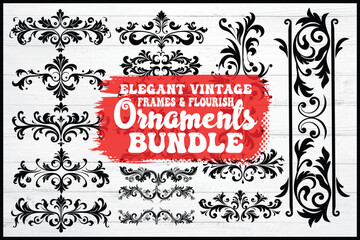 Elegant Vintage Frames & Flourish Ornaments Bundle