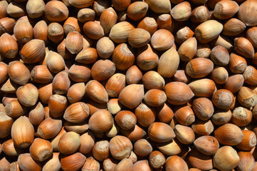 Haselnüsse als Hintergrundbild