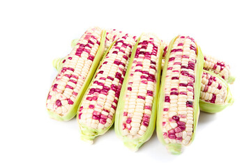 Fresh Multicolored Corn Cobs with White and Red Kernels on White Background