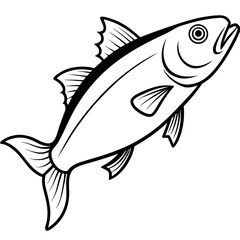 Haddock line art vector