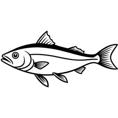 Haddock line art vector