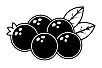 black and white blueberry