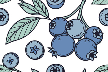 vector illustration of blueberry