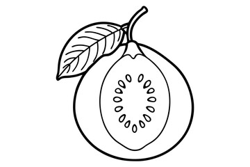 vector illustration of an guava