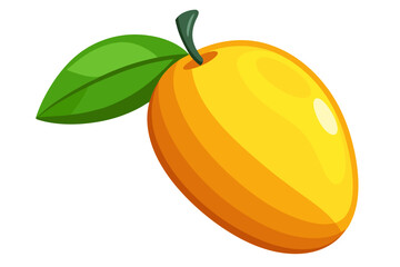 vector illustration of an mango