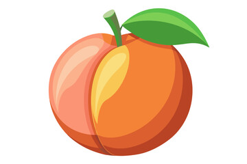 vector illustration of an peach fruit