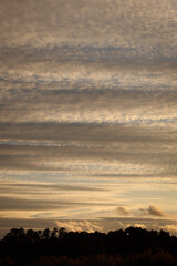 bewölkter Himmel, besondere Wolken am Himmel, blauer Himmel, viele Wolken