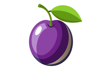 vector illustration of an plum