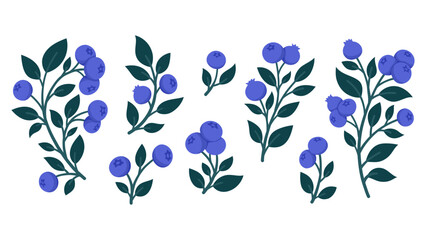 Set of Hand Drawn Blueberry Branches with Ripe Berries and Leaves. Cute Botanical Illustrations for Packaging, Kitchen Decor, Stickers, Labels, Logos, Farmers Market or Food Branding