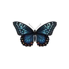 Obraz premium Dark Blue Butterfly on Black Background