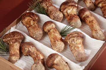 Fresh Matsutake Mushrooms from Yunnan China in Wooden Crate with Pine Needles