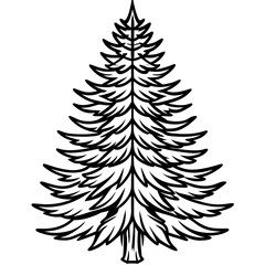 Fototapeta premium Douglas‑fir line art vector