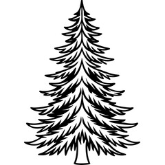 Douglas‑fir line art vector