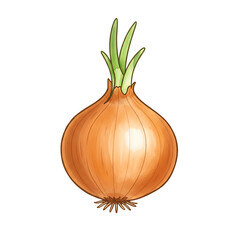 Freshly grown yellow onion with green sprouts isolated on transparent background
