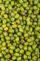 Fresh Organic Mung Bean Background - Green Legumes Texture Pattern for Healthy Nutrition and Cooking Concepts
