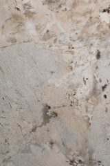Detailed view of textured wall surface showing natural patterns and discolorations from weathering over time