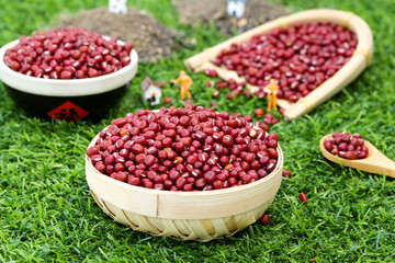 Red Adzuki Beans in Wooden Bowls on Grass - Healthy Organic Grains for Cooking