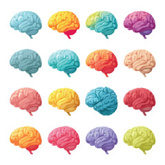 set of human brain