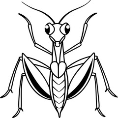 Praying mantis line art vector