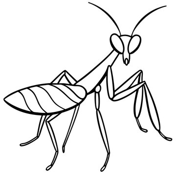 black and white praying mantis outline clip art preview
