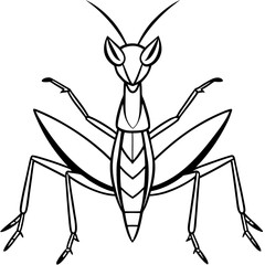Praying mantis line art vector