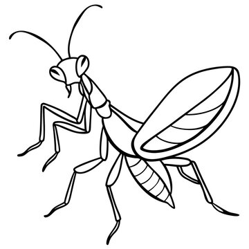 black and white praying mantis outline clip art preview