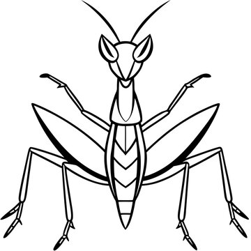 black and white praying mantis clip art preview