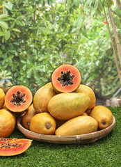 Fresh Red Papayas from Hainan in Wicker Basket with Tropical Garden Background