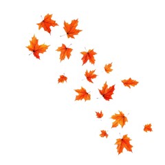 散在する紅葉の葉 白背景の透明な要素