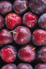 Fresh Red Plums with Water Droplets in Natural Arrangement - Healthy Organic Stone Fruit Background