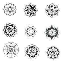 A premium set of floral design elements, logotype, and flower