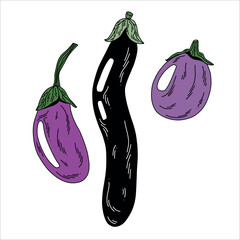 set of three raw purple and black eggplants of different shapes in doodle style