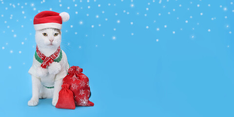 White cat in Santa hat and sweater with red gift bags on blue snowy background, funny festive pet portrait, Christmas and New Year holiday decoration, winter celebration greeting card concept.