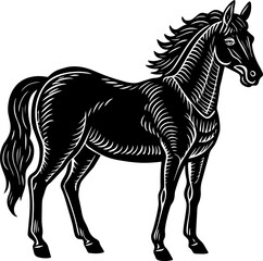 black horse vector illustration