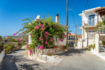 lila Bougainvillea an Haus in Keri - Zakynthos